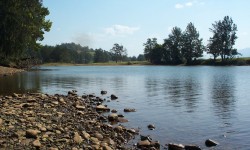 Applied Biology and Water Use Reductions