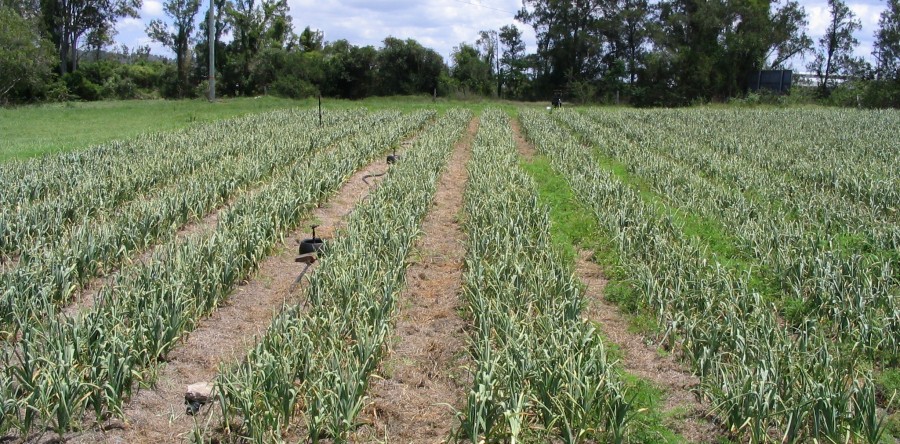 Organic Farm Services