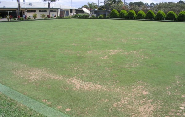 Turf Renovation and Soil Biology