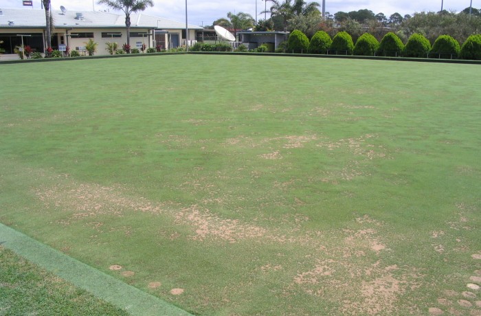 Turf Renovation and Soil Biology