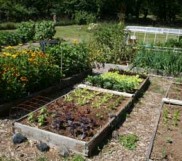 Applied Soil Biology in the Home Garden