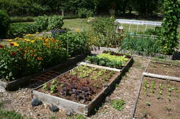 Applied Soil Biology in the Home Garden