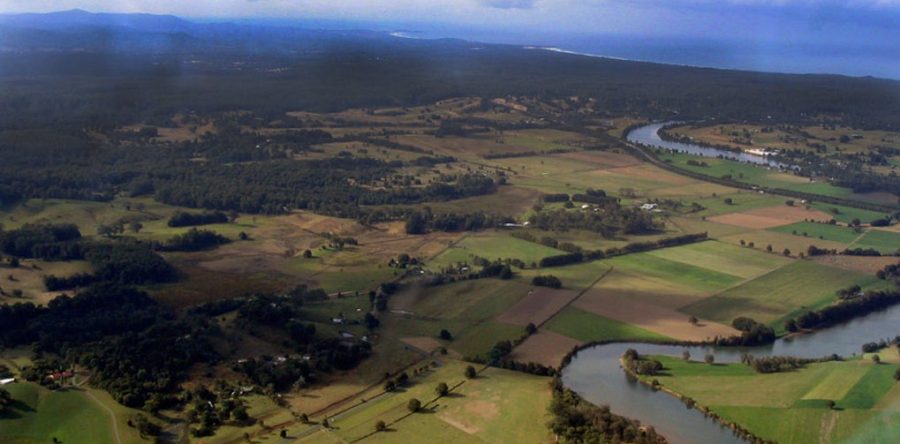 Plant Nutrition Services