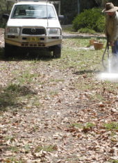 Steam Weeding using WeedTechnics Steamwand Satusteam TM Weed Control